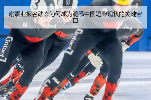 谢震业报名动态为何成为洞悉中国短跑现状的关键窗口